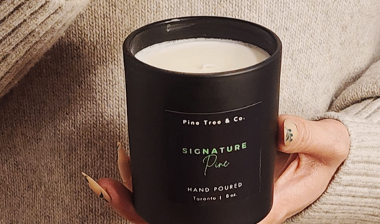 Signature Pine Scented Candle - 8oz