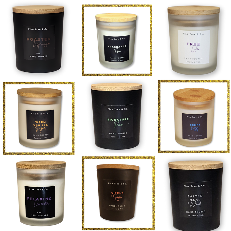 Collection of Pine Tree & Co. soy candles in black and frosted jars with bamboo lids, arranged in a grid showing all scent variations.