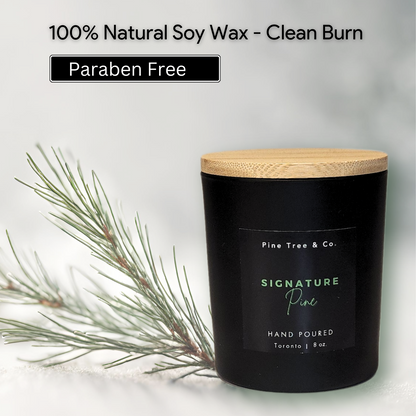 Paraben free, natural candle, soy candle, scented candle, pine scent, winter candle